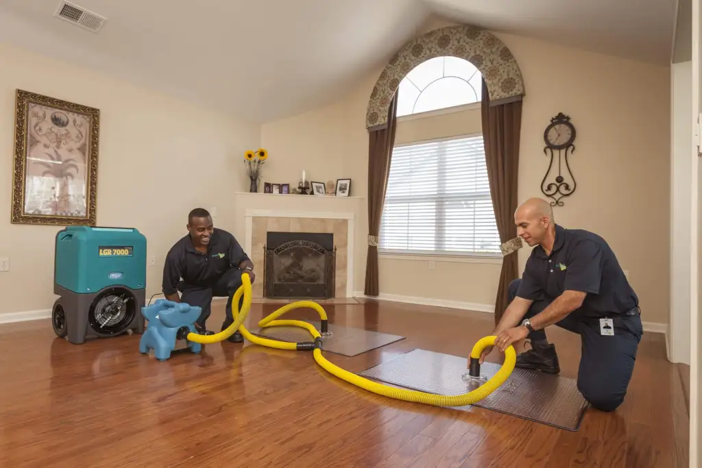 Water Damage Repair and Cleaning Services